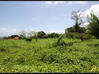 Photo de l'annonce Basse Pointe terrain 10 000 m² Basse-Pointe Martinique #2