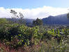 Photo de l'annonce Terrain Plaine Des Palmistes La Plaine-des-Palmistes La Réunion #1