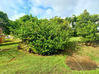 Photo de l'annonce Sainte Anne maison T4 - Terrain plat... Sainte-Anne Guadeloupe #1