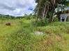 Photo de l'annonce Montsinery Tonnegrande terrain -... Montsinéry-Tonnegrande Guyane #21