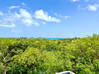 Photo de l'annonce Villa Caribbean - Terres Basses Terres Basses Saint-Martin #5