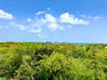 Photo de l'annonce Villa Caribbean - Terres Basses Terres Basses Saint-Martin #6