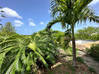 Photo de l'annonce Villa Caribbean - Terres Basses Terres Basses Saint-Martin #23
