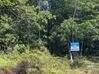 Photo de l'annonce Superbe Terrain en zone naturelle domaine Boulanger de 1ha08 Roura Guyane #0