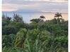 Photo de l'annonce Terrain Vue Mer à 300 m de la Plage Deshaies Guadeloupe #0