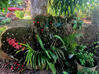 Photo de l'annonce Sainte Rose Complexe de charme - Terrain de 2 274,00 m² - Sainte-Rose Guadeloupe #10