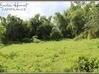 Photo de l'annonce Beau terrain constructible de 6130m² Ajoupa-Bouillon Martinique #1