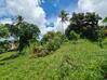 Photo de l'annonce Riviere Salee : Exclusivité pour ce beau terrain de 5000m² Rivière-Salée Martinique #1