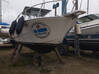 Photo for the classified Boat with new engines Saint Barthélemy #5