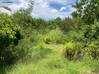 Photo for the classified ROUGE BAY FIELD Terres Basses Saint Martin #14