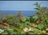 Photo de l'annonce Appt. T4 de 109,92m2 (Shab.) avec Piscine - Jardin - Les Trois-Îlets Martinique #0