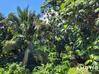 Photo de l'annonce Terrain 1 246 M - Fond Cacao -... Capesterre-Belle-Eau Guadeloupe #4
