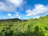 Photo for the classified Land with amazing views and building permit SXM Paradis Saint Martin #2