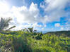 Photo for the classified Land with amazing views and building permit SXM Paradis Saint Martin #4