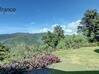Photo de l'annonce Propriété de 3 villas T3 avec piscine un T3 et deux T1 vue Pointe-Noire Guadeloupe #6