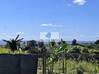 Photo de l'annonce Sainte Marie, Route de la Sarde, Capesterre B/E, belle villa Capesterre-Belle-Eau Guadeloupe #15