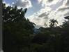Photo de l'annonce 4 bed houses , ocean view ,large terrace Pelican Key Sint Maarten #6