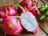 Photo de l'annonce 3 pieds de pitaya - fruit du dragon Saint-Martin #1