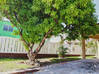 Photo de l'annonce Maison avec 3 appartements Cay Hill Sint Maarten #11