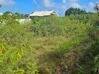 Photo de l'annonce Terrain plat de 1 615 m2 proche de la plage Sainte-Anne Guadeloupe #5