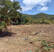 Terrain à lotir ou pour construction hoteliere