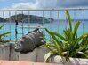 Photo for the classified Villa L’Escale Friar's Bay Saint Martin #39