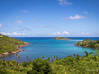 Photo de l'annonce Terrain Vue Mer avec permis accordé Marigot Saint Barthélemy #0