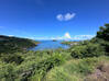 Photo de l'annonce Terrain superbe vue Marigot Saint Barthélemy #0