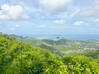 Photo for the classified Land Pic Paradis Paradis Saint Martin #7