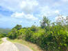 Photo for the classified Land Pic Paradis Paradis Saint Martin #8