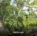 Terrain constructible 1 201m2 - Haut Concordia