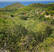 7 Parcelles en zone IINa-Grand-Case / Anse Marcel